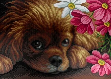 источник фото goodslikeru