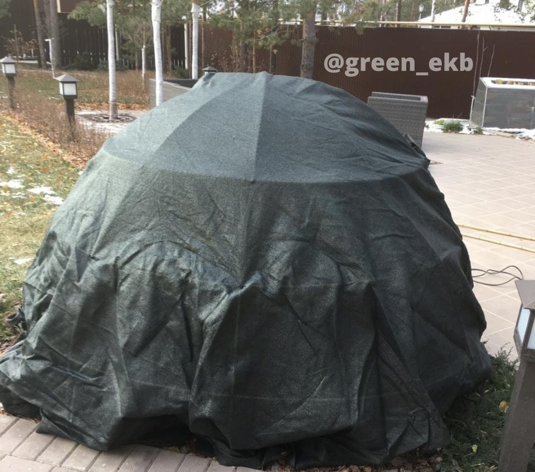 Укрытие хвойных