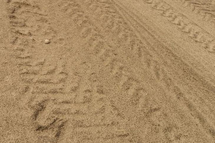    Около 74% районов с озимой пшеницей в США находятся в сильной засухе к ноябрю