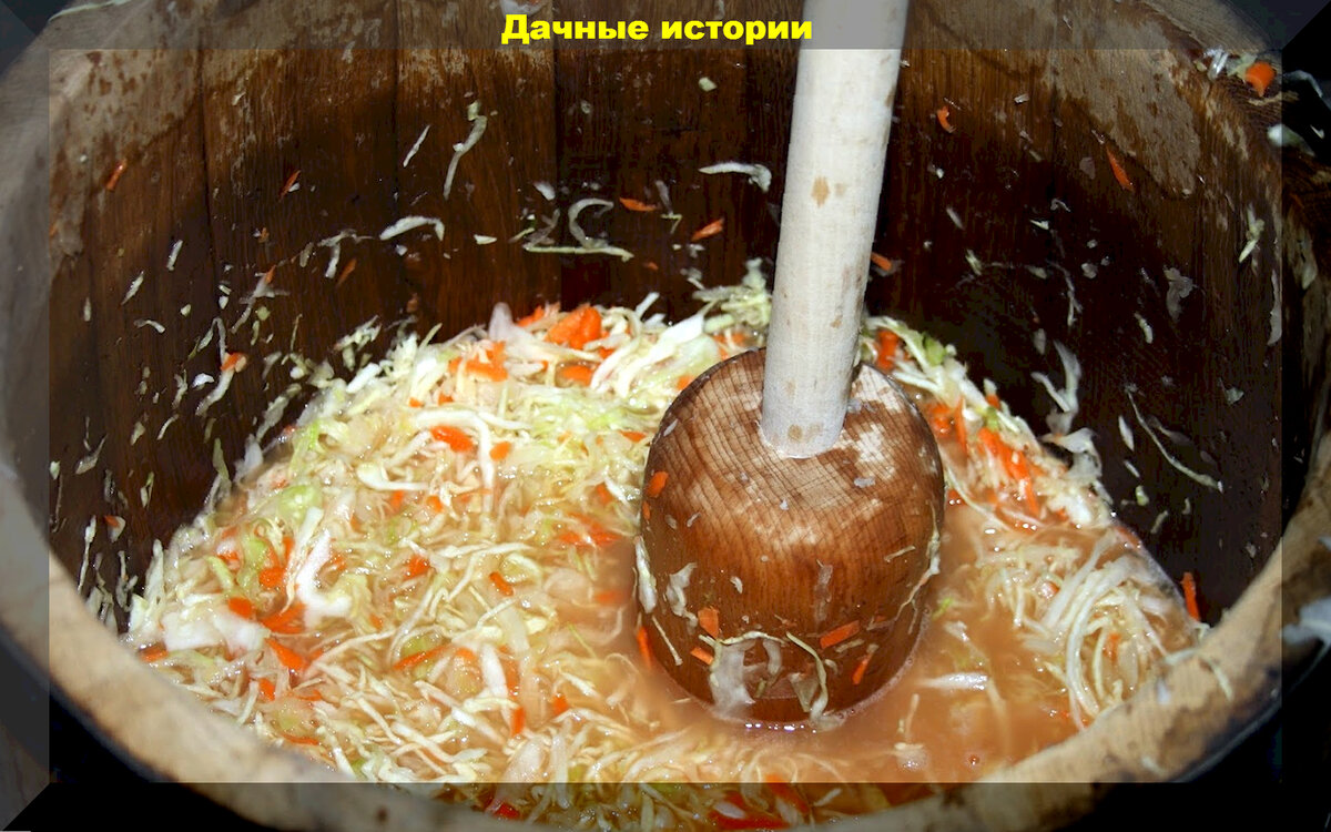 Почему горчит капуста, а капуста квашеная совсем не вкусная: основные  ошибки при заготовке и не только | Дачные истории | Дзен