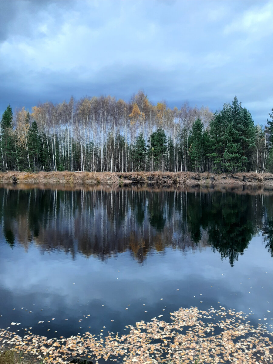 Отговорила роща золотая...