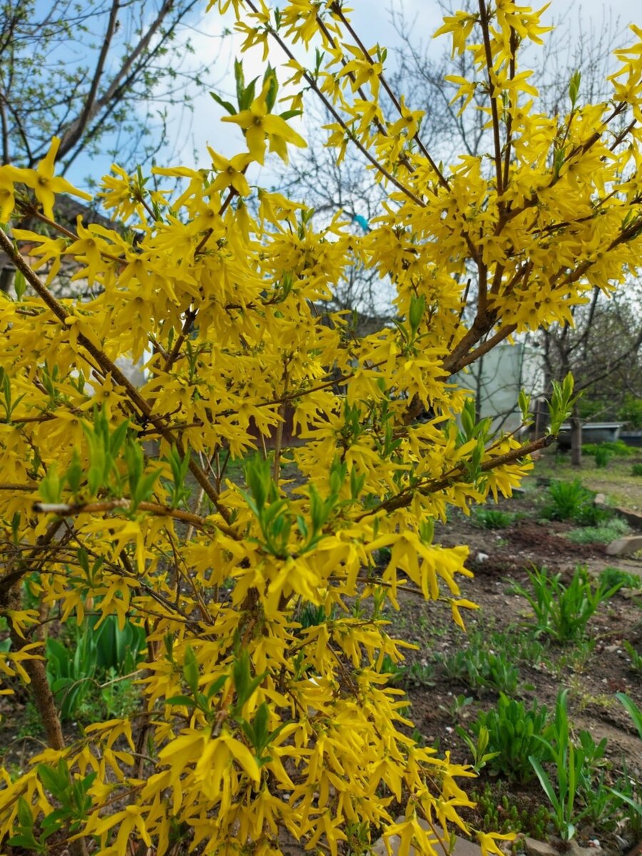 Фото автора.