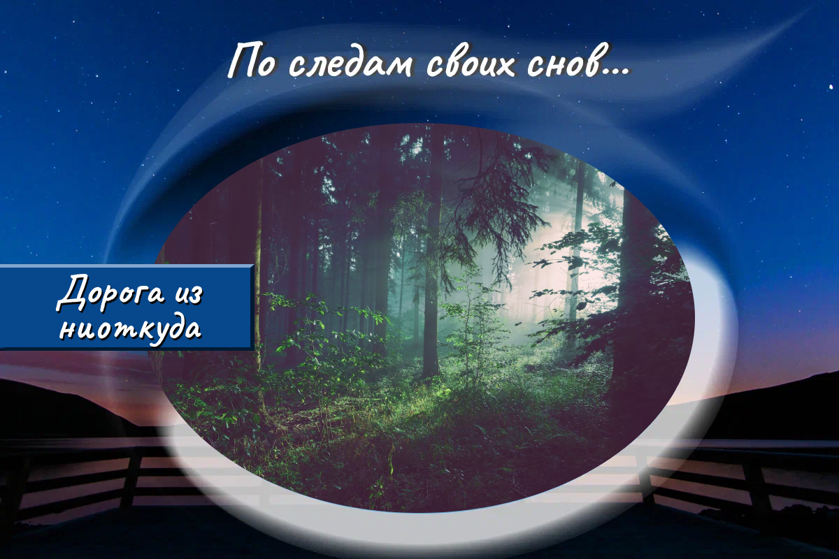 Канал по следам своих снов дзен. По следам своих снов. По следам своих снов дзен.