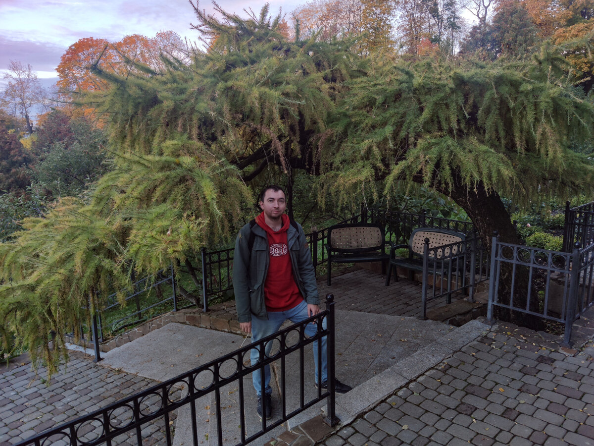 Привет! Я Дмитрий Петров, сейчас будем гулять