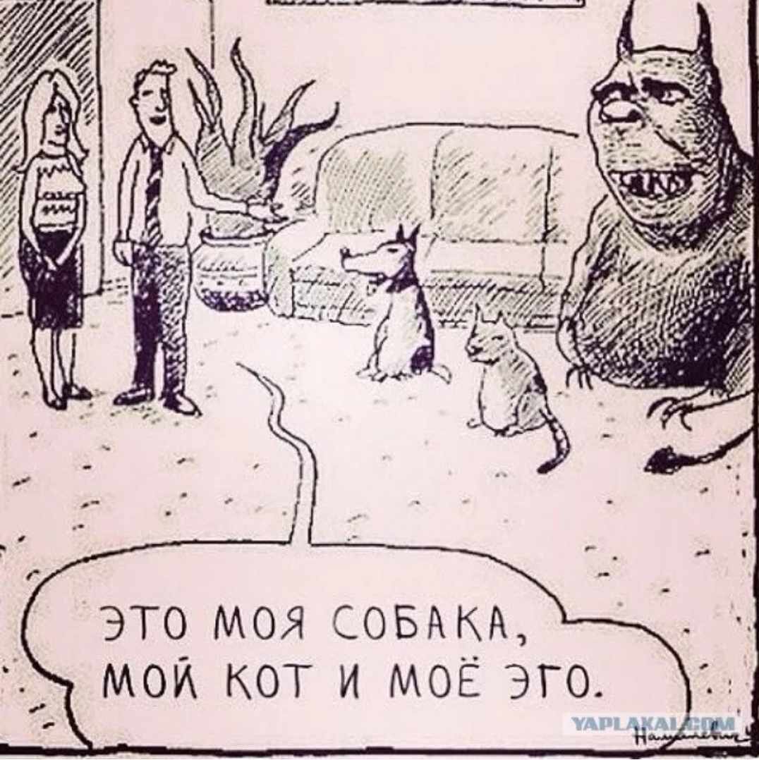 Эго. Взято с Яндекс-картинок