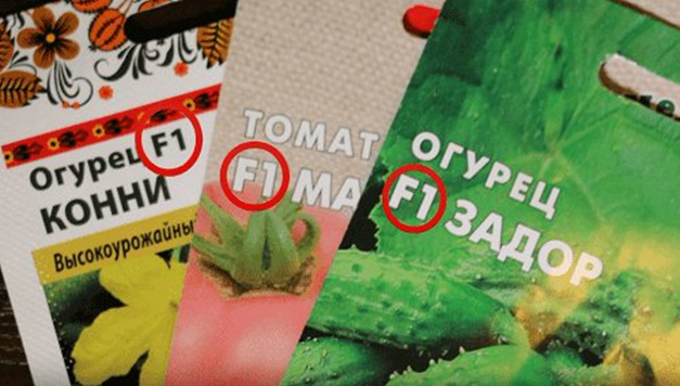 Что означают картинки на пакетиках с семенами
