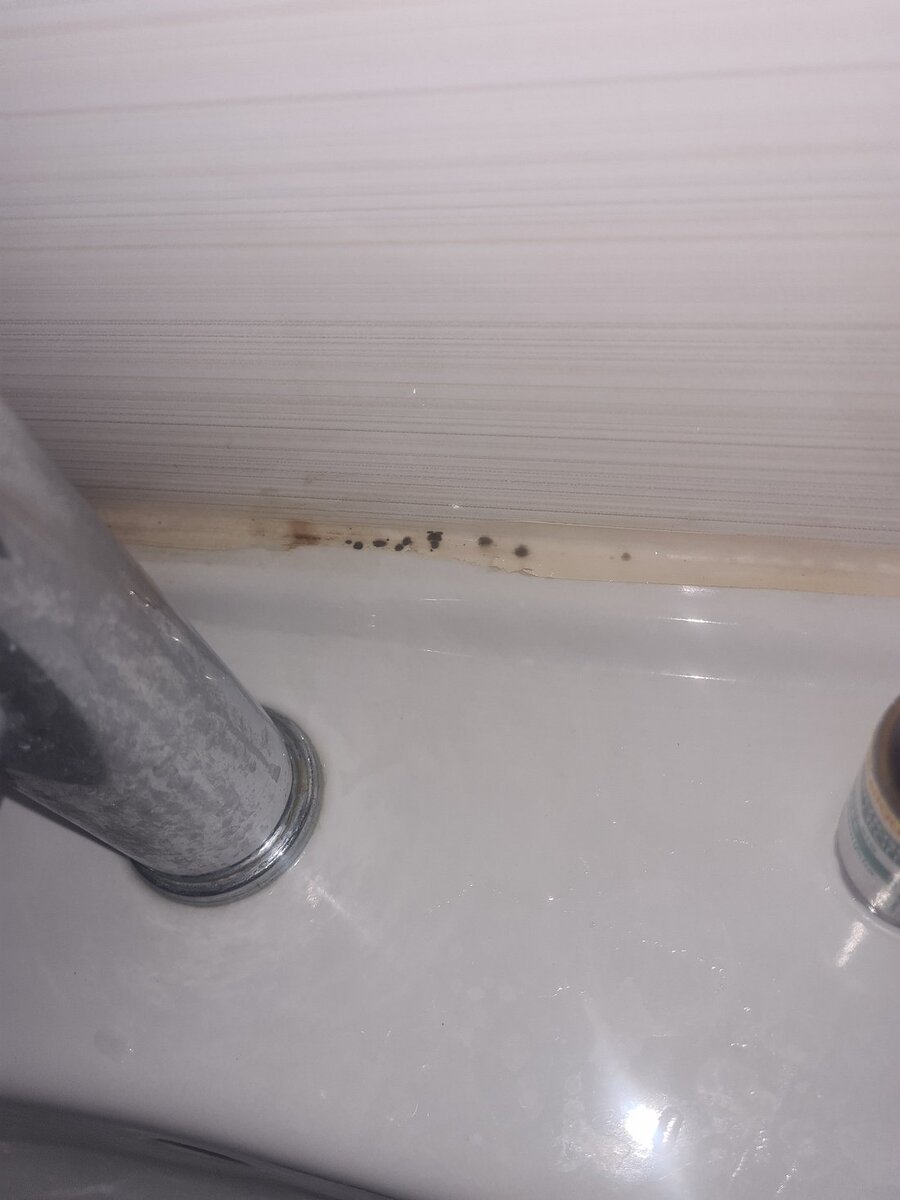 Источник: tripadvisor.ru