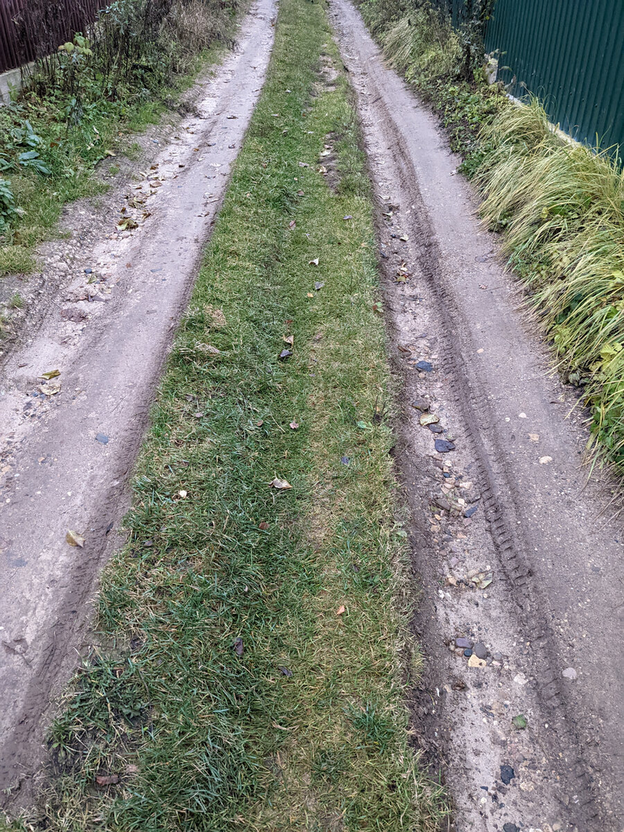 Колея от проезда легковых авто