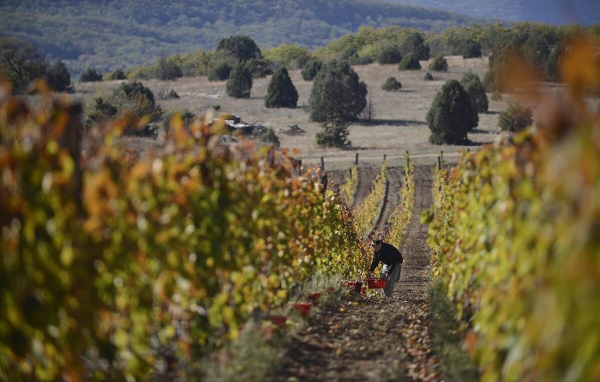 Пресс-служба Росконгресса