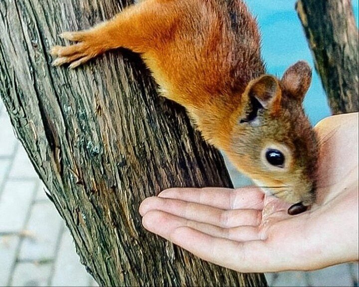 Фотография из личного архива