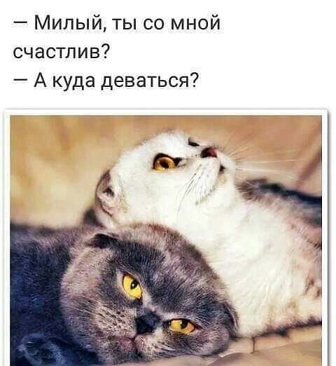 Картинка из открытых источников