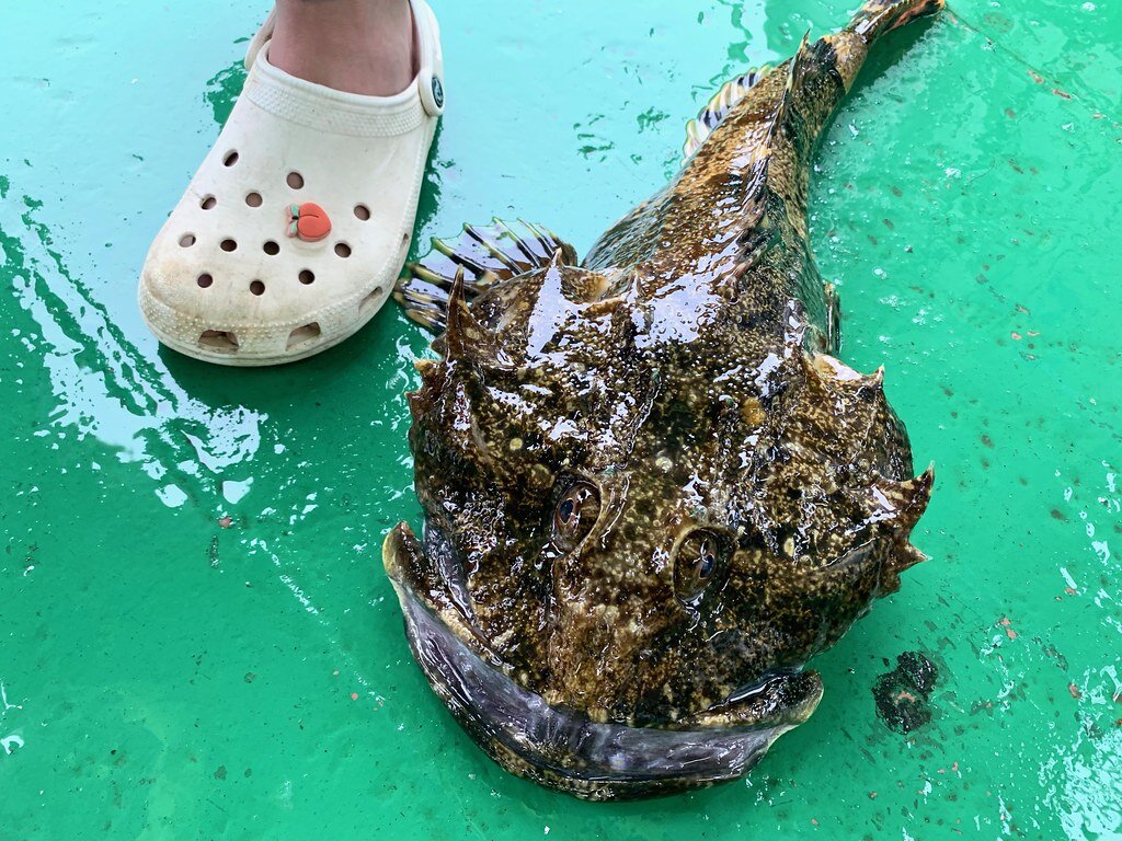 1. 