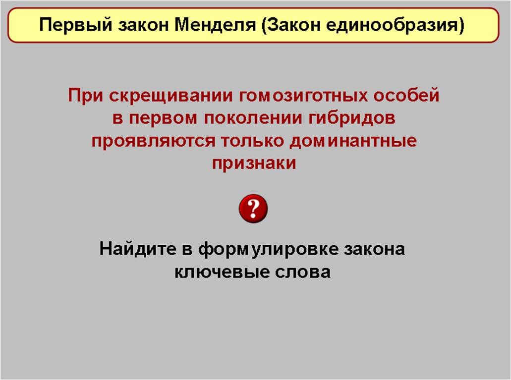 Изучаем закон единообразия в 9 классе. Обязательный элемент —  цитогенетическое обоснование результатов опытов | Елена Сова: пуд соли в  школе | Дзен