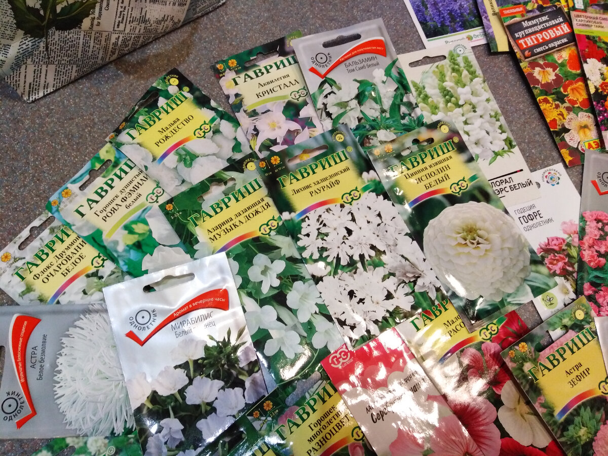 Не реклама фирм-производителей семян! Просто в нашем маленьком городке сложно найти ассортимент семян в принципе... Поэтому то, что увидела в магазине - то и купила.