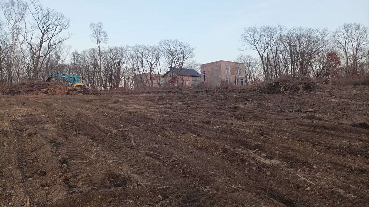 Это вид нашего участка, после очистки и небольшого выравнивания.