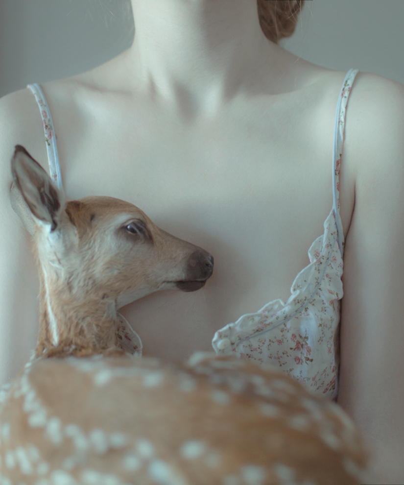 Life in photographs.  Laura Macabrescu.