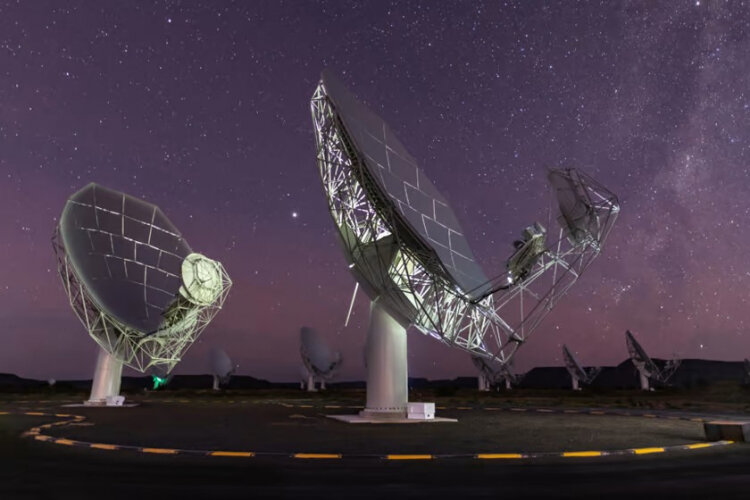    Источник изображения: South African Radio Astronomy Observatory