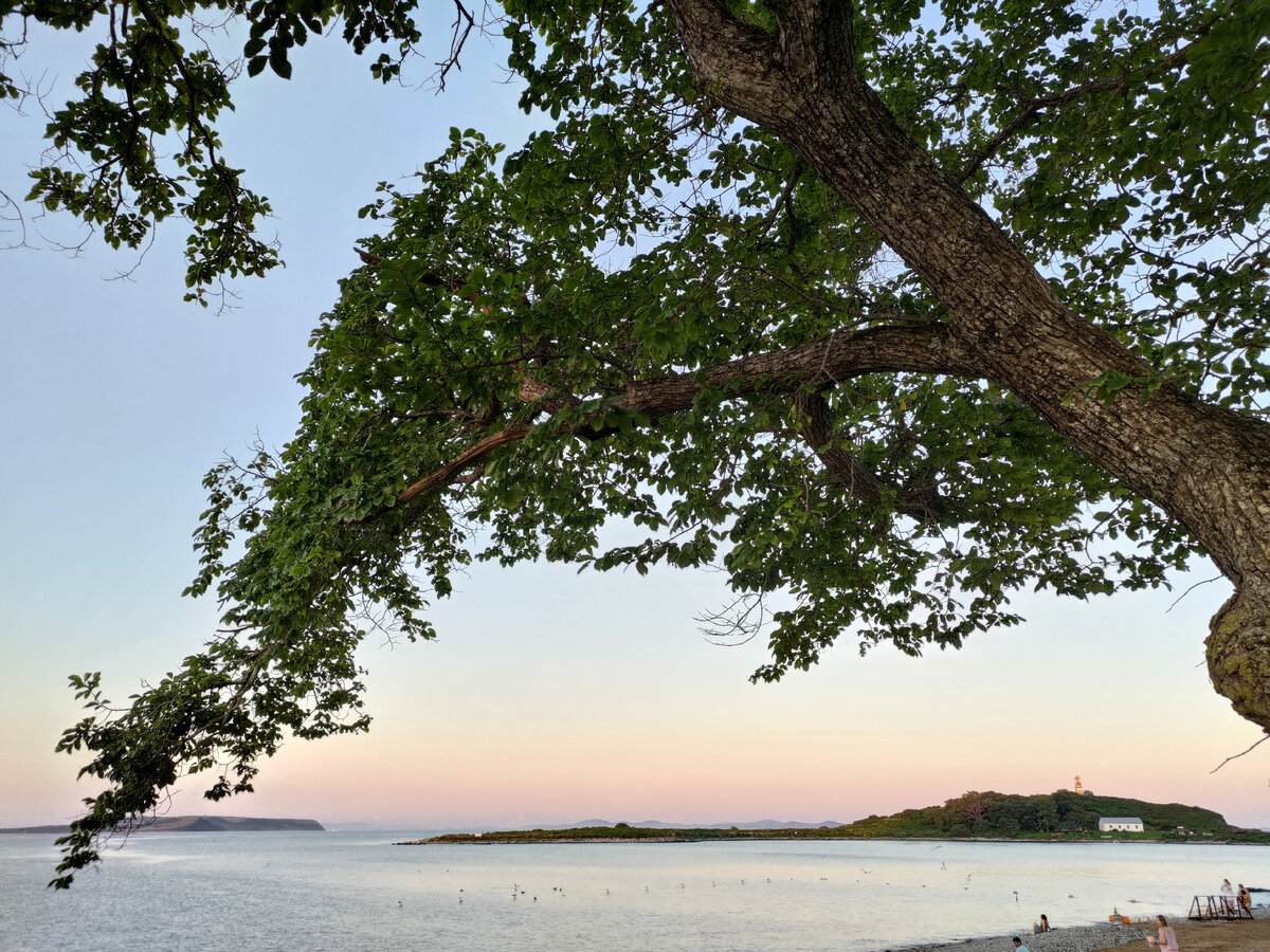 Умиротворяющее фото автора