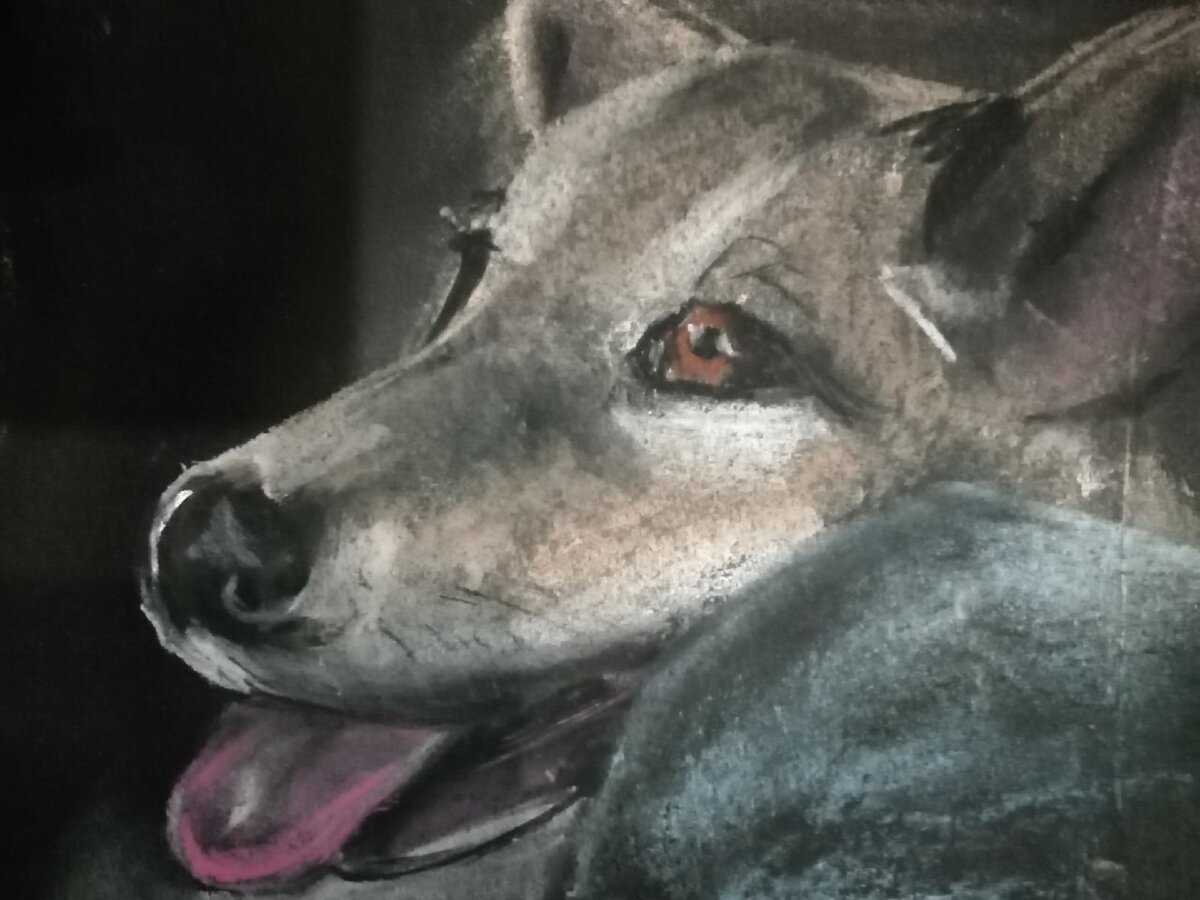 Портрет Ричи