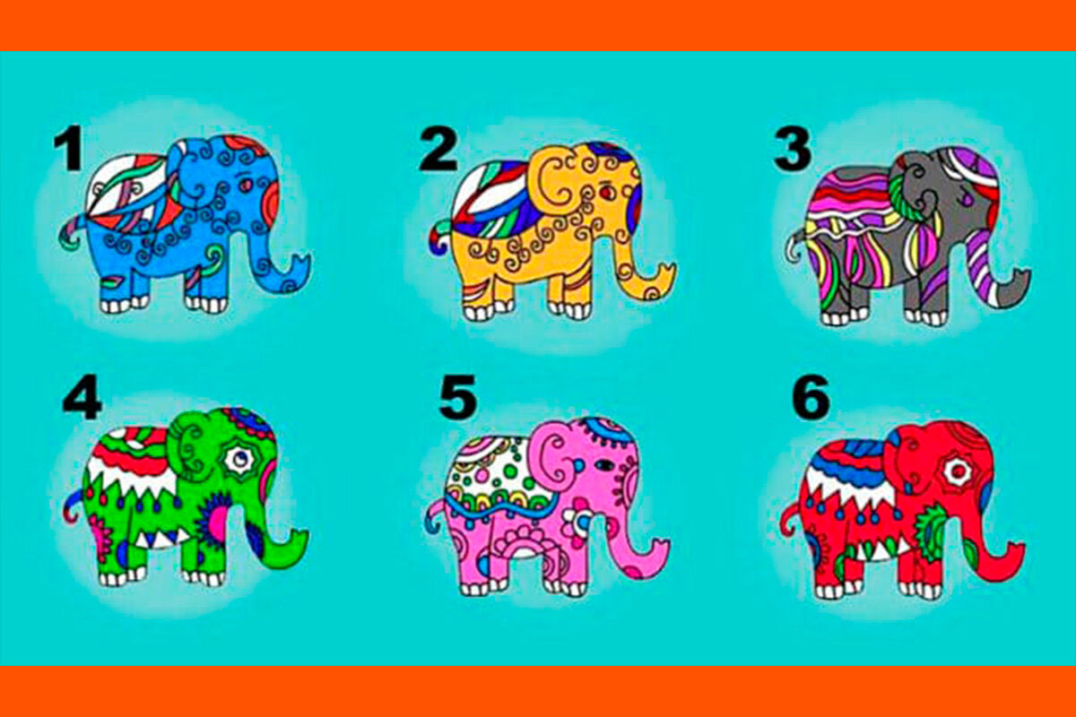 СЛОН, который приносит удачу: У вашего любимого слона есть совет для ...