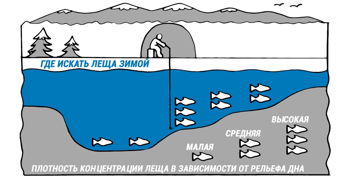 Фото с сайта: https://klev26.ru
