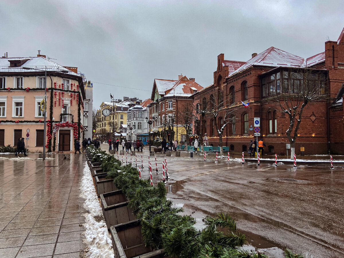 зеленоградск фото города