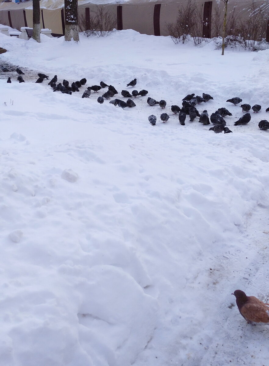 Личное  фото