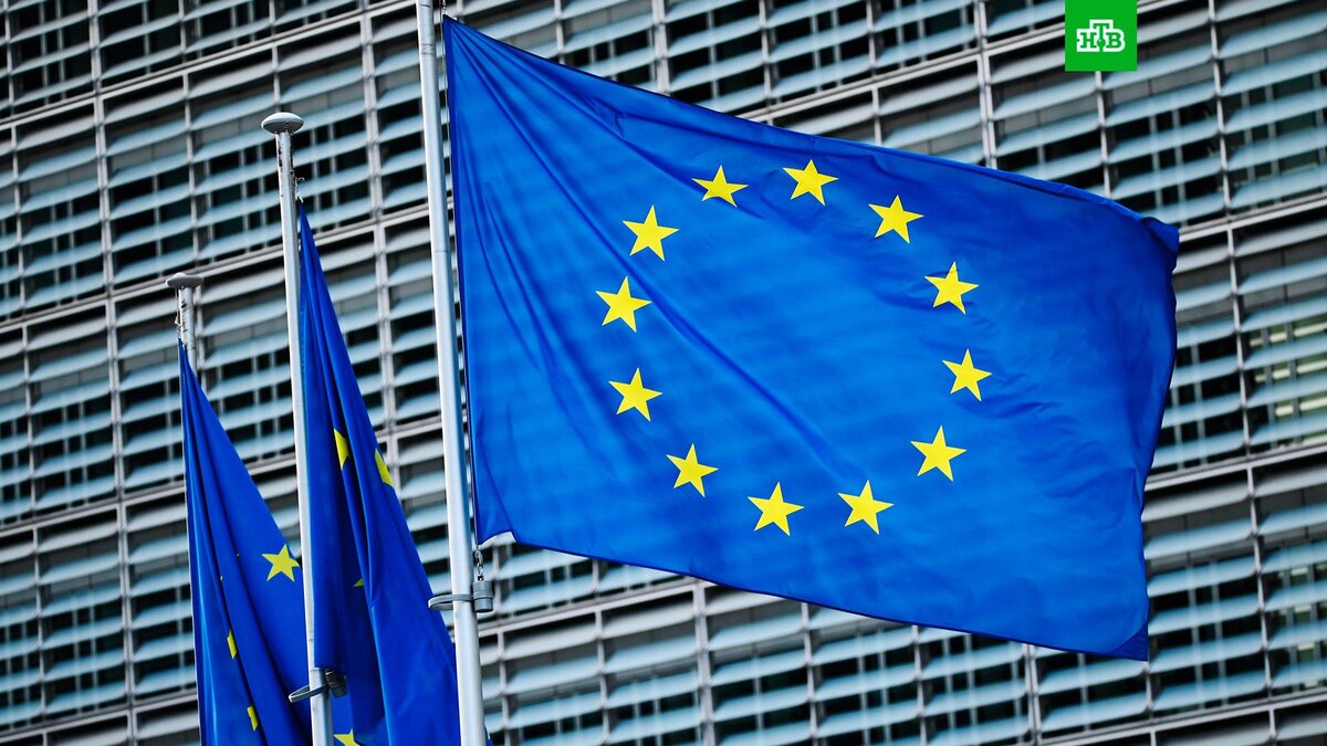    Фото: РИА Новости © 2022, Алексей Витвицкий