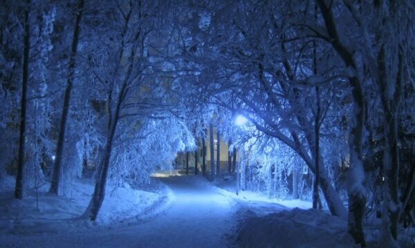    Фото: pixabay.com