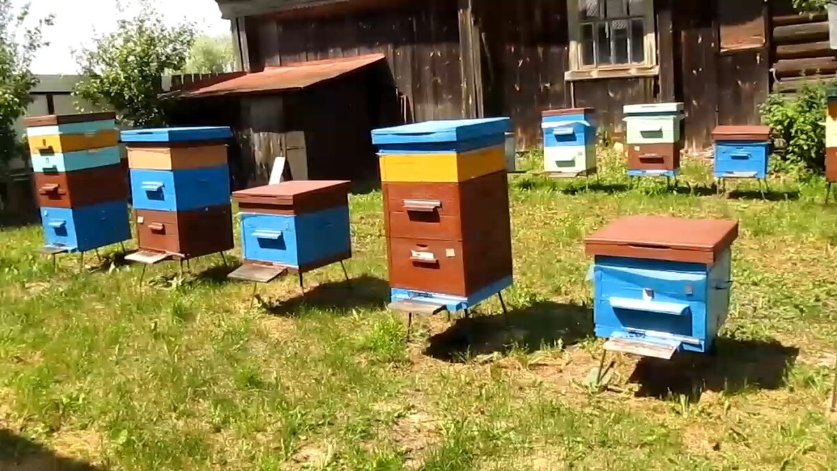 Весенняя пасека.