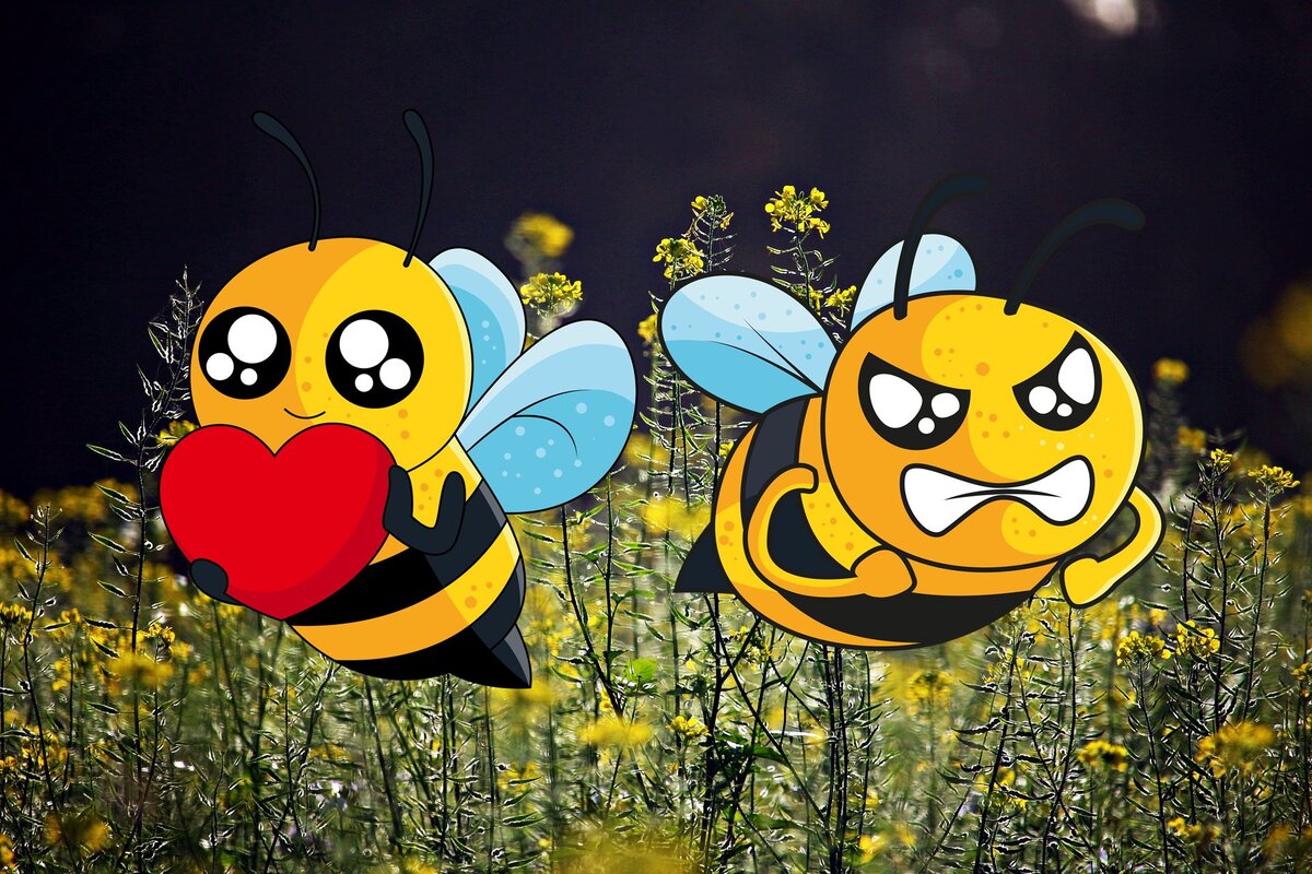 Включи добрая пчела. Веселая пчелка с медом. Смешная пчела. Билайн прикол. Сумасшедшая пчела.