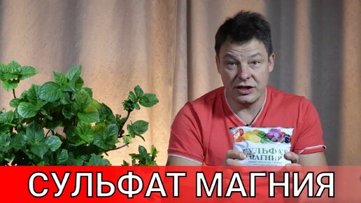 сульфат магния чудесное удобрение все о способах внесения и дозировках которые применяю я у себя на огороде и в саду