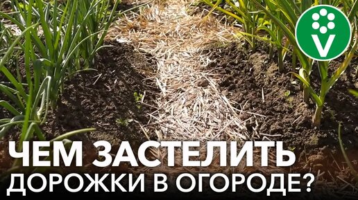 Download Video: Дорожки в огороде без грязи и сорняков! Чем замульчировать проходы между грядок: доступные натуральные материалы