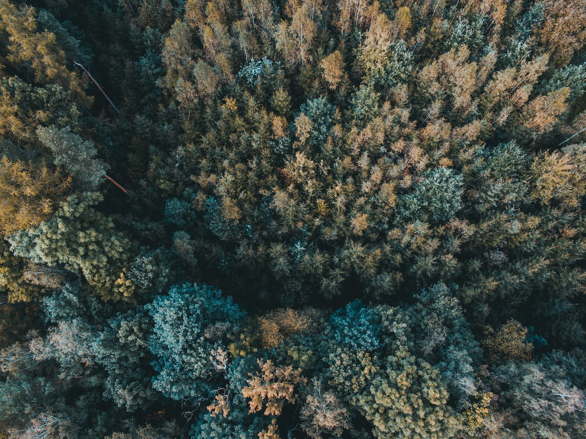 Jakub Kriz/unsplash.com 
