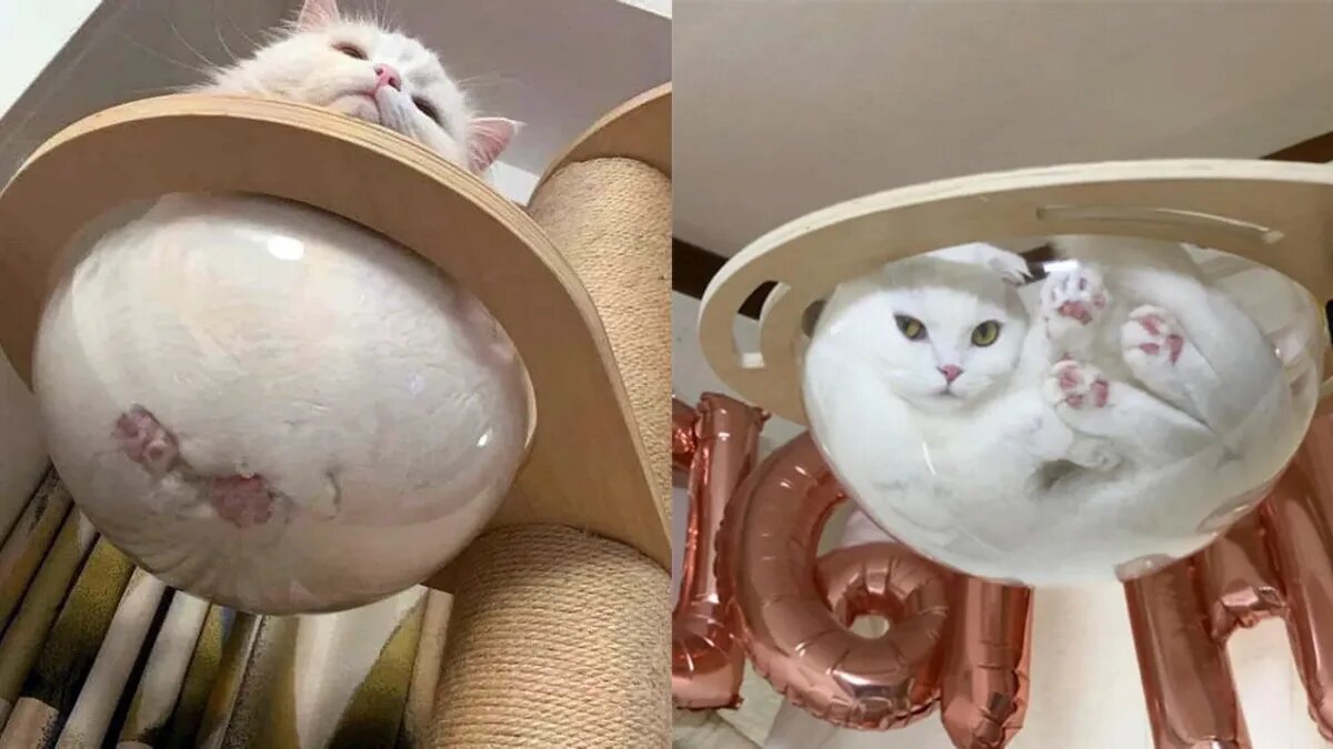Когда ты шар. Фото: sadanduseless.com