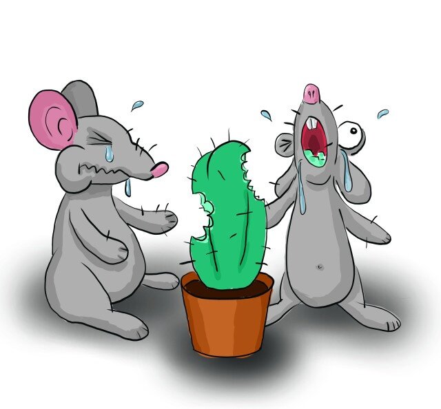 Мышка плакала, кололась, но продолжала кушать кактус
