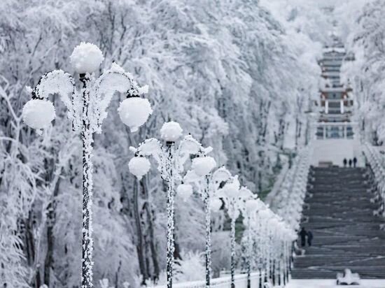     Фото: администрация Железноводска