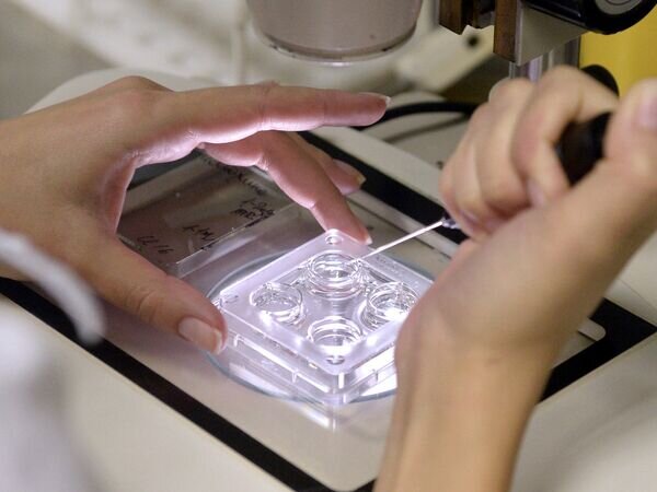   © РИА Новости Михаил Воскресенский