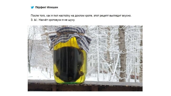 Этот снимок дал начало мему.