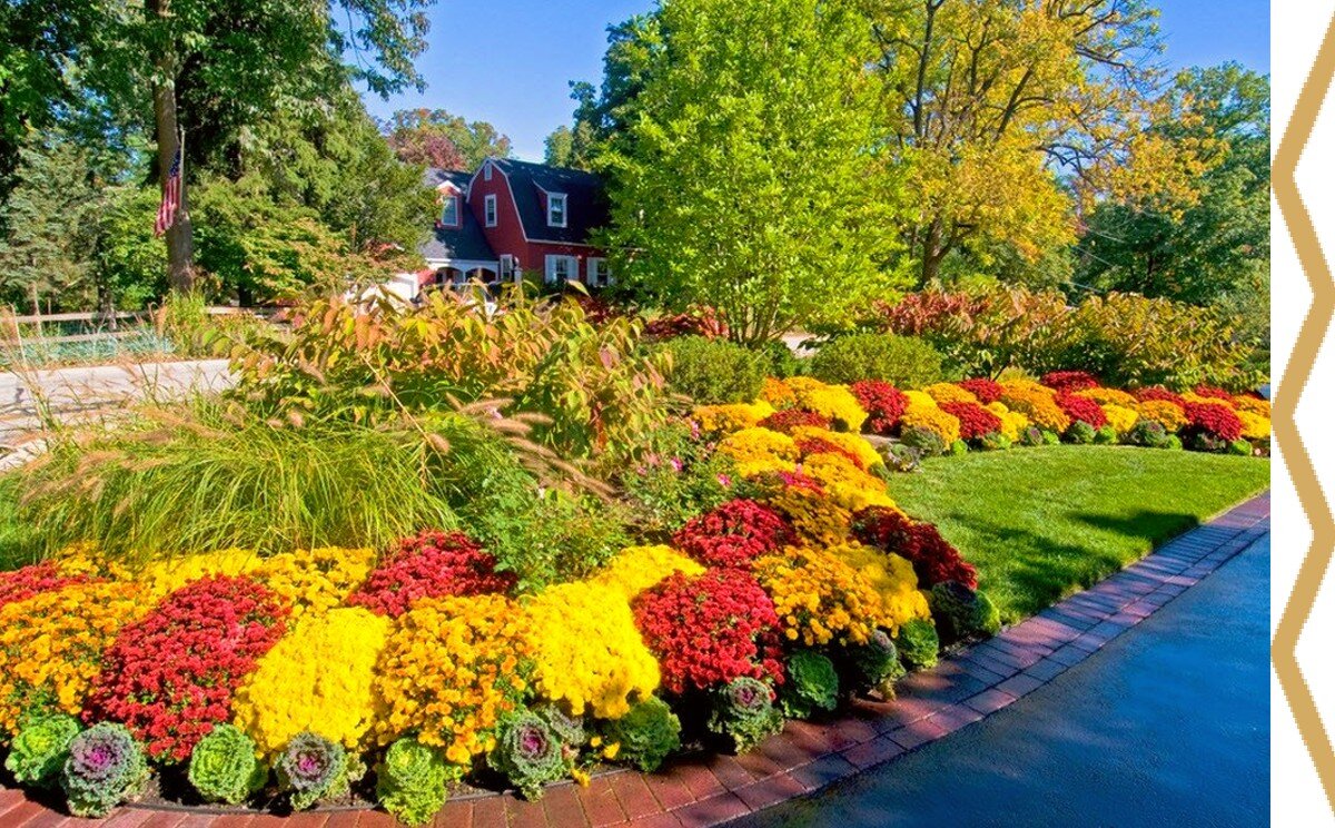 цветущий сад