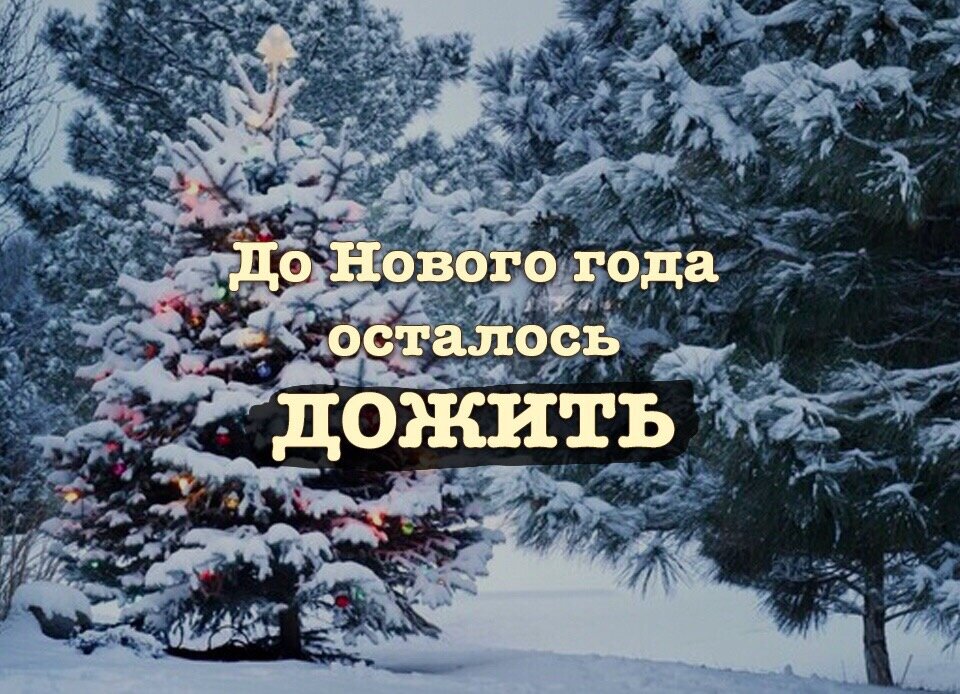 Мем я пытаюсь дожить до нового года