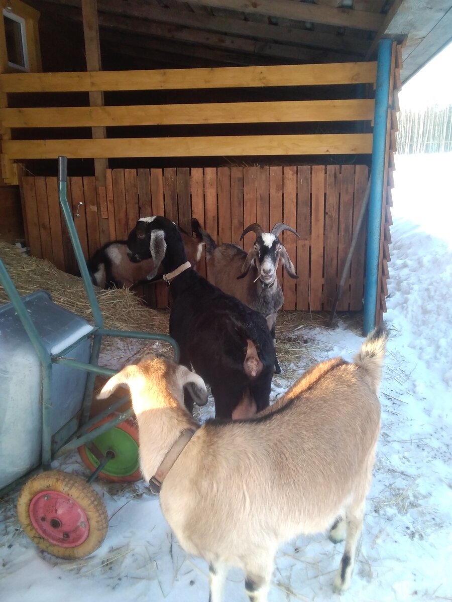 Фото автора. 