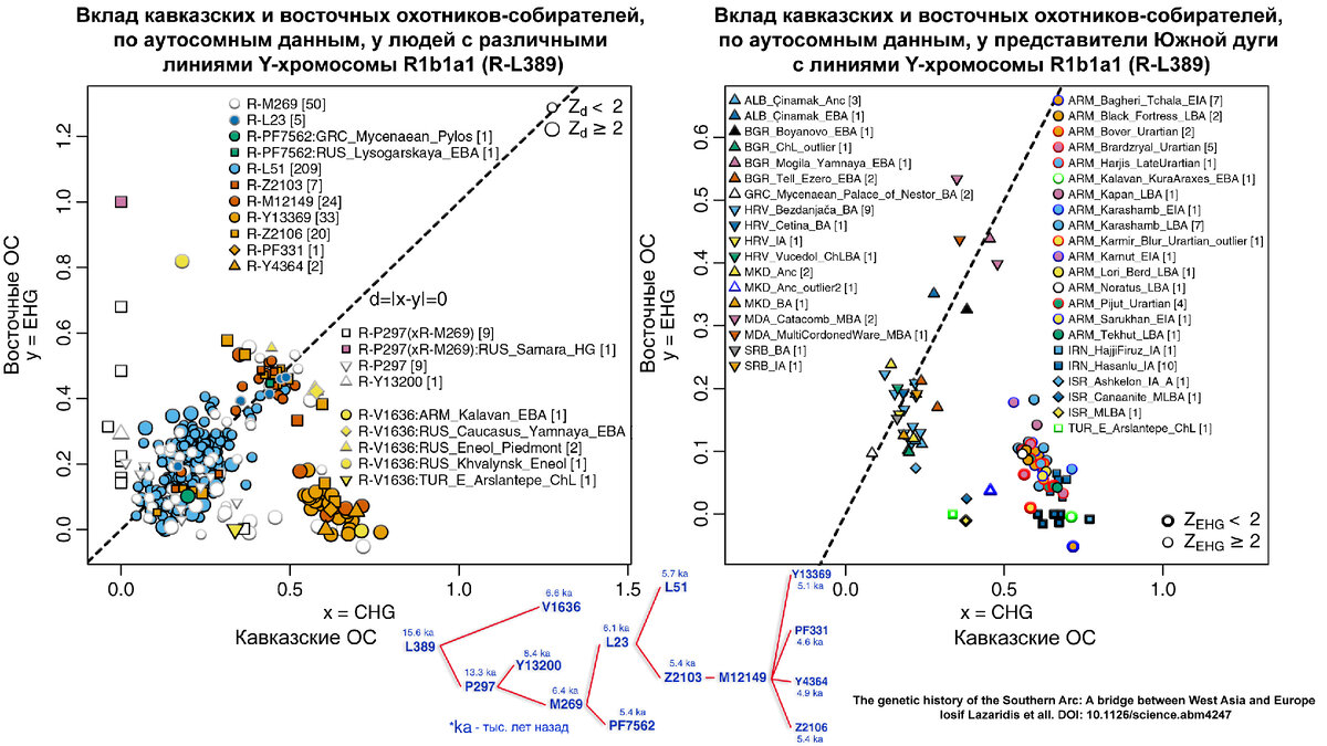 От Кавказа до Европы – генетическая история и индоевропейские языки