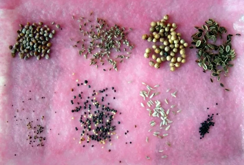 Фотография взята из источника spasibovsem.ru