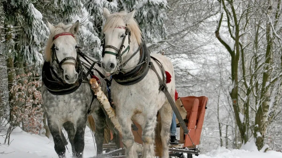 В праздника важно проявить осторожность на всех средствах передвижения. Фото: pxhere.com