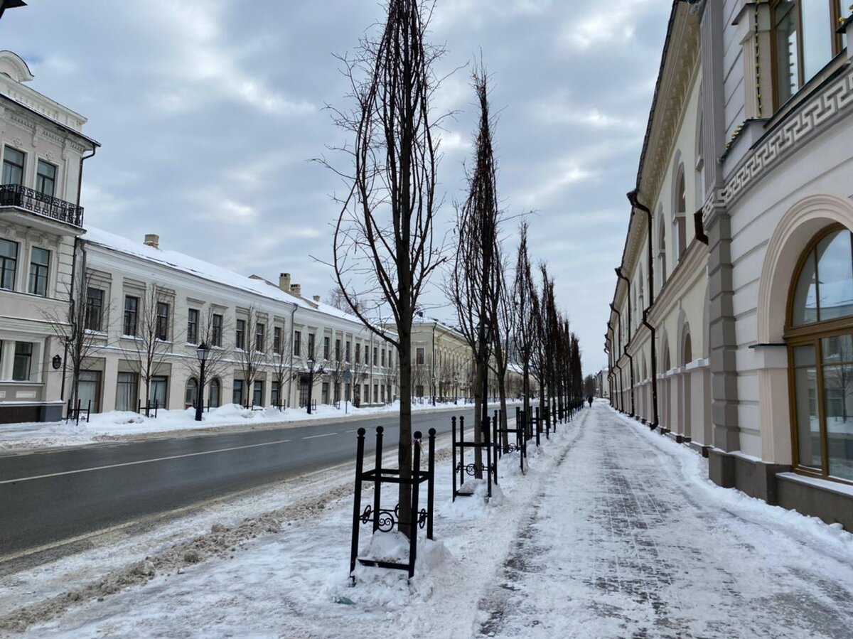 Казань зимняя❄️❄️ Национальный музей. Петропавловский собор. Туган авылым.  | Экскурсии без экскурсоводов. | Дзен