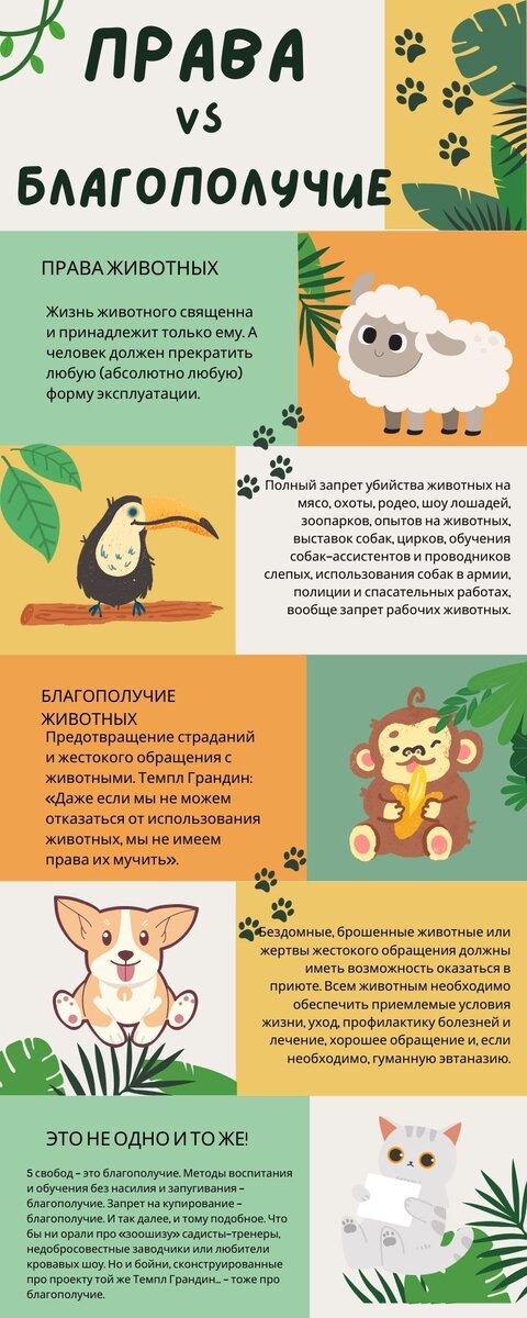 Фото: инфографика - разница прав и благополучия животных, зоопсихолог Екатерина Кастрицкая