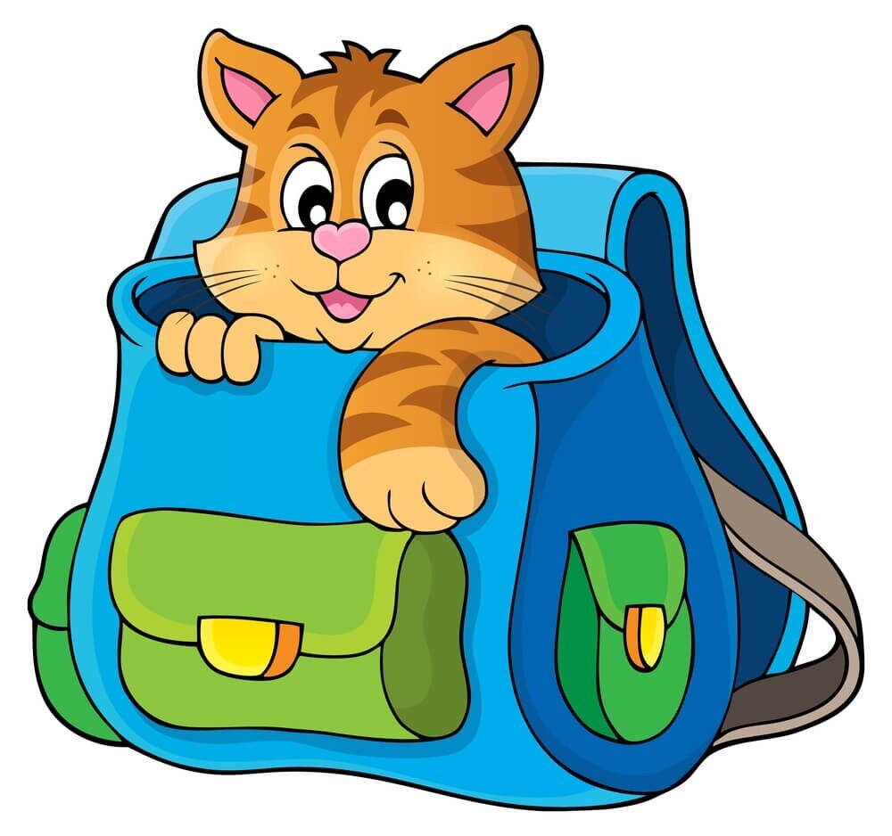 Котенок с рюкзачком