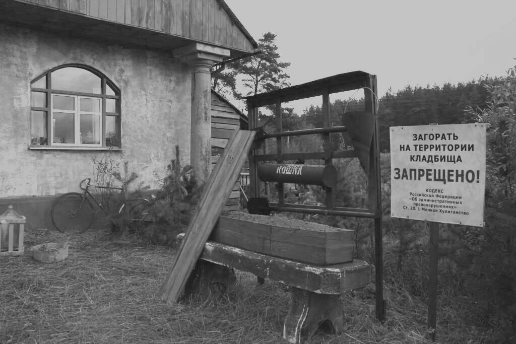 Картинка из интернета