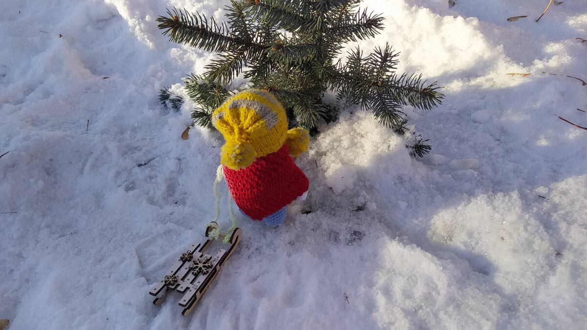 Снеговичок взял свои любимые  саночки, и отправился в сторону леса.